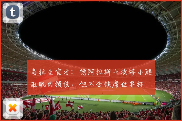 乌拉圭官方：德阿拉斯卡埃塔小腿肚肌肉损伤，但不会缺席世界杯
